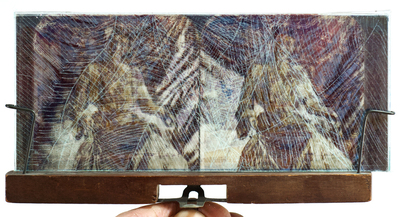 stereogram [Lady Curzon] - backlit