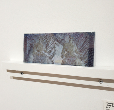 stereogram [Lady Curzon] installation view