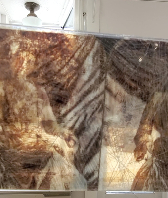 Lady Curzon held up the light