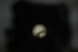 DSC_3294.JPG