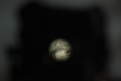 DSC_3296.JPG