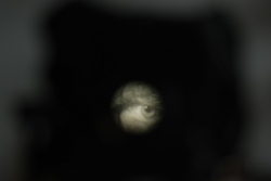 DSC_3297.JPG