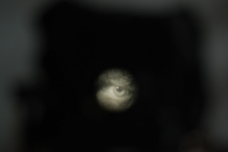 DSC_3298.JPG