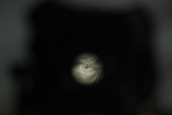 DSC_3299.JPG