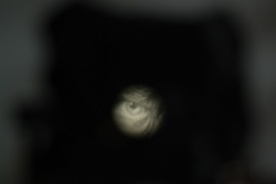 DSC_3300.JPG