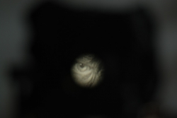 DSC_3301.JPG
