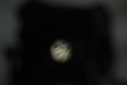DSC_3302.JPG