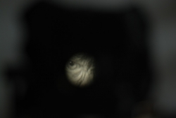 DSC_3304.JPG