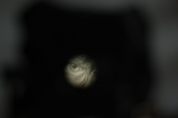 DSC_3305.JPG
