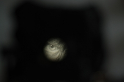 DSC_3306.JPG