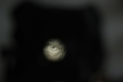 DSC_3307.JPG