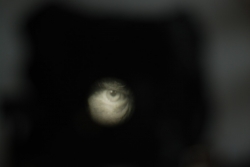 DSC_3308.JPG