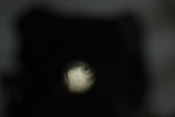 DSC_3310.JPG