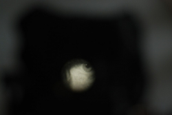 DSC_3311.JPG