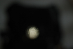 DSC_3312.JPG