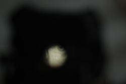DSC_3313.JPG