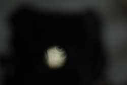 DSC_3314.JPG