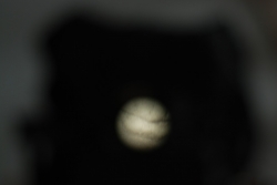 11_DSC_3269.JPG